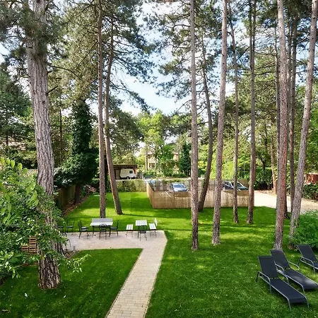 Oliver 2 시오포크